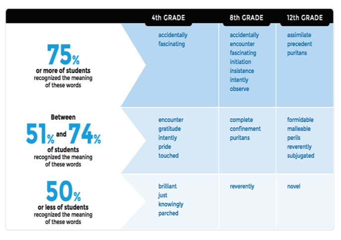 2013 Vocabulary Infographic