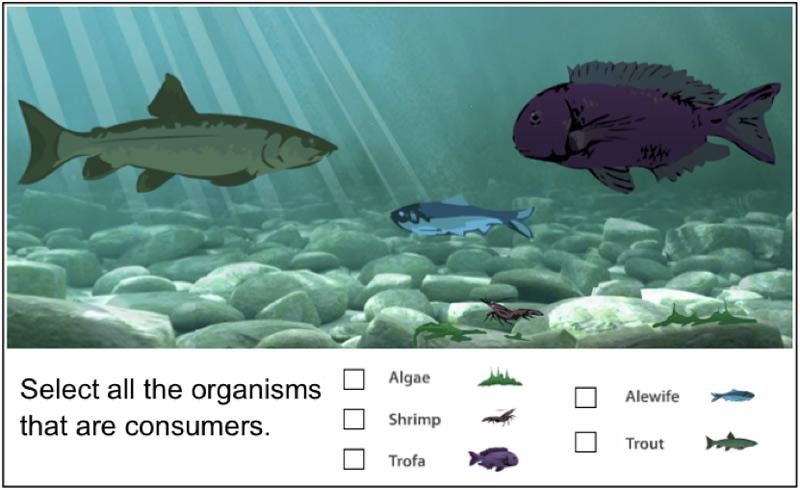 Screenshot of a sample item. Screen shows fish in the ocean. Text reads, "Select all the organisms that are consumers." Options: "Algae, Shrimp, Trofa, Alewife, Trout."